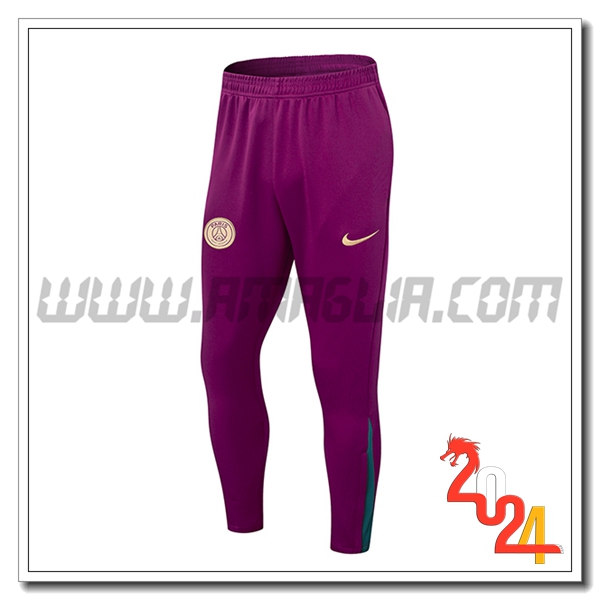 Pantaloni Da Allenamento PSG viola 2024 2025