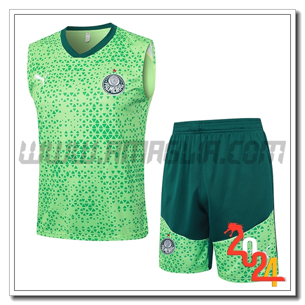 Kit Canotta Allenamento Palmeiras Verde 2024 2025 -03