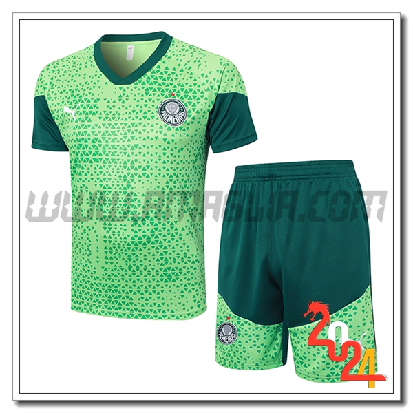Kit Maglia Allenamento Palmeiras Verde 2024 2025 -05