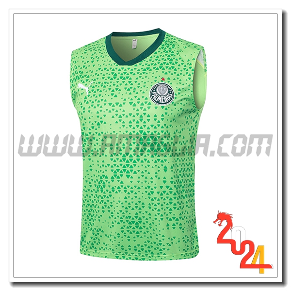 Canotta Allenamento Palmeiras Verde 2024 2025 -03