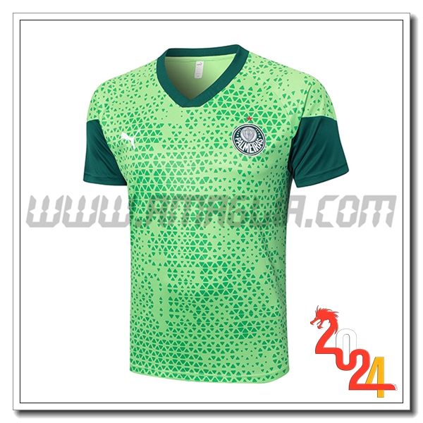 T Shirt Allenamento Palmeiras Verde 2024 2025 -05