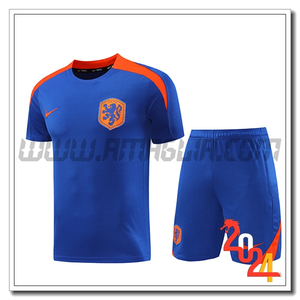 Kit Maglia Allenamento Paesi Bassi Blu/Arancia 2024 2025