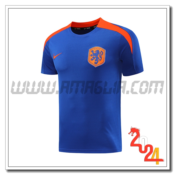 T Shirt Allenamento Paesi Bassi Blu/Arancia 2024 2025
