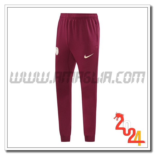 Pantaloni Da Allenamento PSG Rosso/Verde 2024 2025 -02