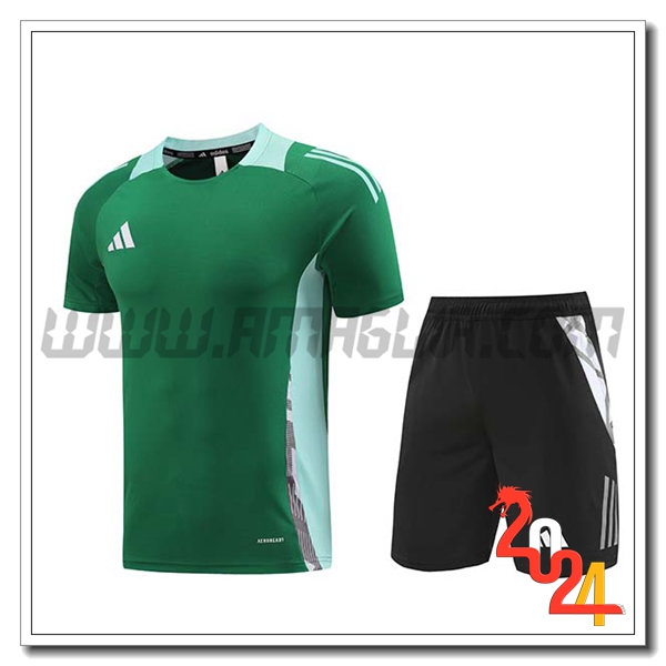 Kit Maglia Allenamento Adidas Verde 2024 2025