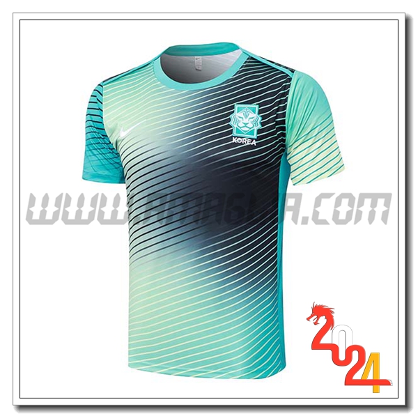 T Shirt Allenamento Corée Du Sud Verde/ 2024 2025