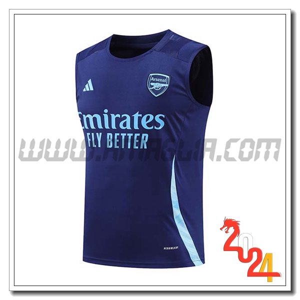 Canotta Allenamento Arsenal Blu 2024 2025