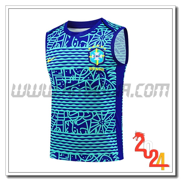 Canotta Allenamento Brasile Blu/Verde 2024 2025