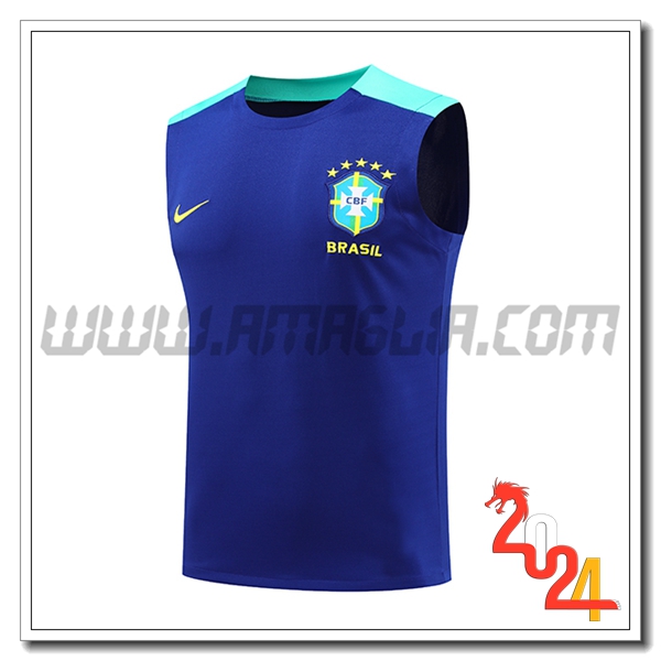 Canotta Allenamento Brasile Blu 2024 2025
