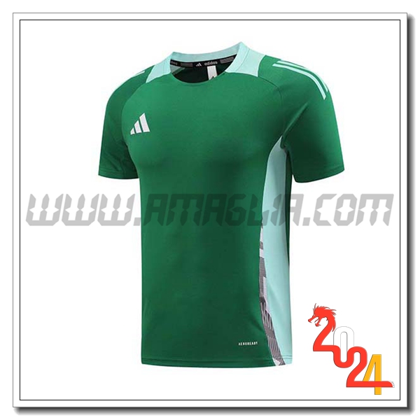 T Shirt Allenamento Adidas Verde 2024 2025