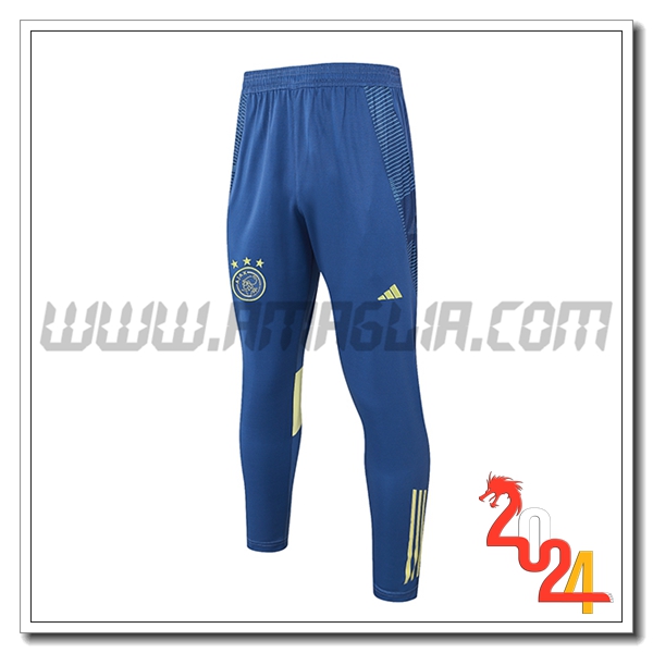 Pantaloni Allenamento Ajax Blu/Giallo 2024 2025