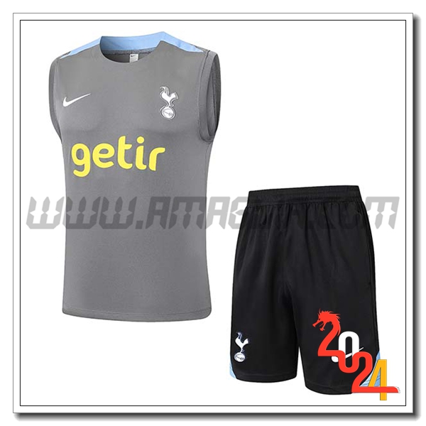 Kit Canotta Allenamento Tottenham Hotspur Grigio/Blu 2024 2025