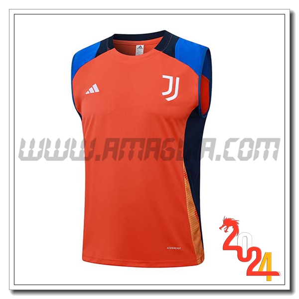 Canotta Allenamento Juventus Arancia/Blu 2024 2025