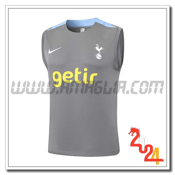 Canotta Allenamento Tottenham Hotspur Grigio/Blu 2024 2025
