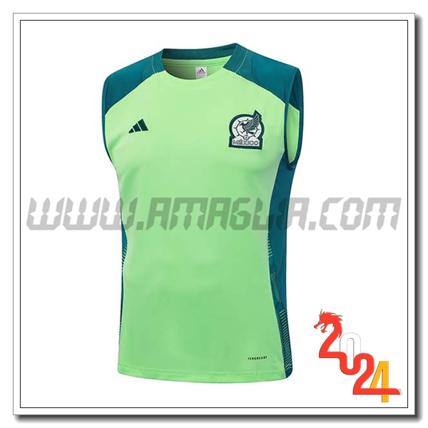 Canotta Allenamento Messico Verde 2024 2025