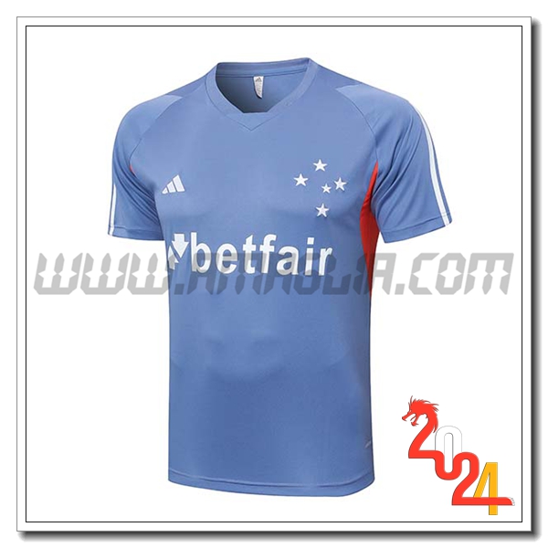 T Shirt Allenamento Cruzeiro Grigio/Arancia 2024 2025