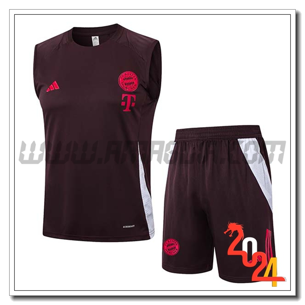 Kit Canotta Allenamento Bayern Monaco Marrone/Rosso 2024 2025
