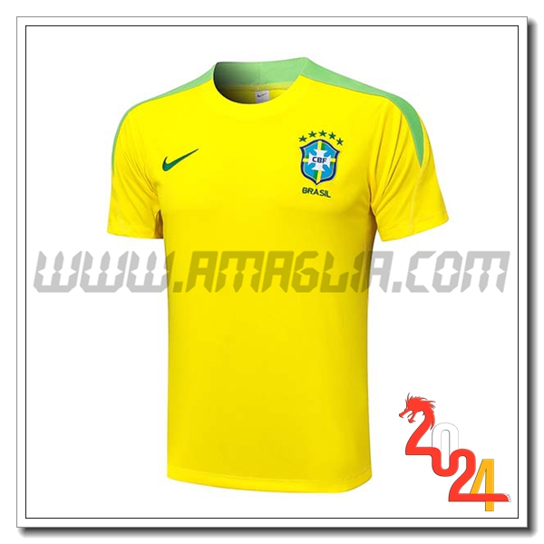 T Shirt Allenamento Brasile Giallo/Verde 2024 2025