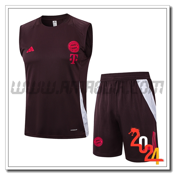 Kit Canotta Allenamento Bayern Monaco Marrone 2024 2025
