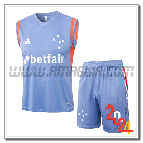 Kit Canotta Allenamento Cruzeiro Grigio/Arancia 2024 2025