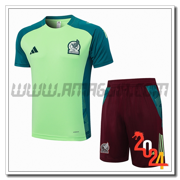Kit Maglia Allenamento Messico Verde 2024 2025