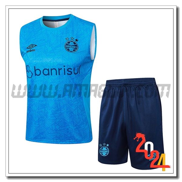 Kit Canotta Allenamento Gremio Blu 2024 2025