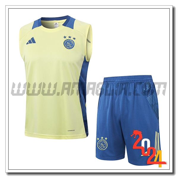 Kit Canotta Allenamento Ajax Giallo/Blu 2024 2025