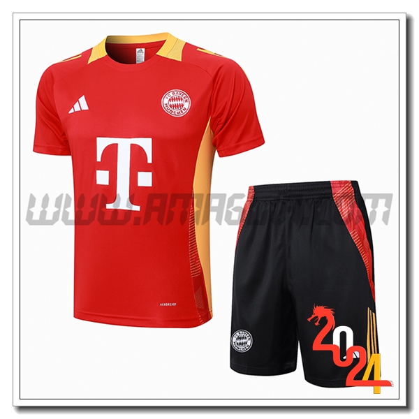 Kit Maglia Allenamento Bayern Monaco Rosso/Giallo 2024 2025