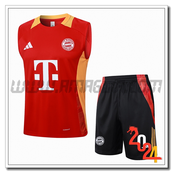 Kit Canotta Allenamento Bayern Monaco Rosso/Giallo 2024 2025