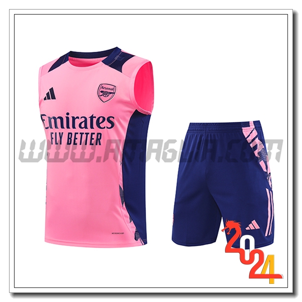 Kit Canotta Allenamento Arsenal Rosa/viola 2024 2025