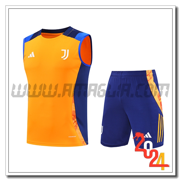 Kit Canotta Allenamento Juventus Arancia/Blu 2024 2025