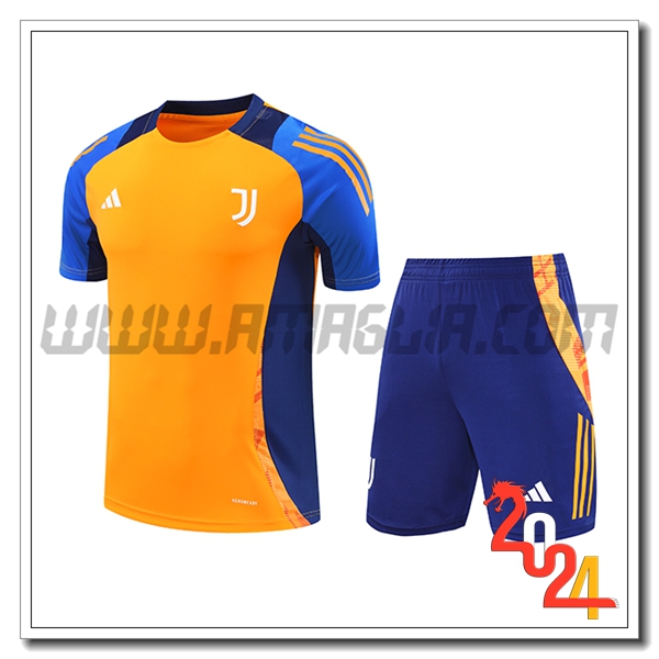 Kit Maglia Allenamento Juventus Arancia/Blu 2024 2025 -03