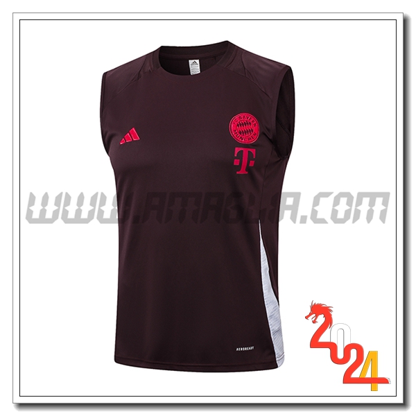 Canotta Allenamento Bayern Monaco Marrone 2024 2025