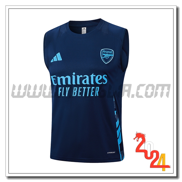 Canotta Allenamento Arsenal Blu Reale 2024 2025