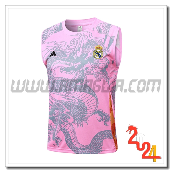 Canotta Allenamento Real Madrid Rosa/Grigio 2024 2025