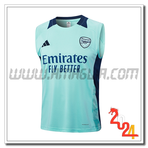 Canotta Allenamento Arsenal Verde/Blu 2024 2025