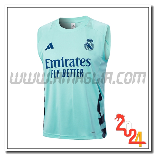 Canotta Allenamento Real Madrid Verde/Blu 2024 2025