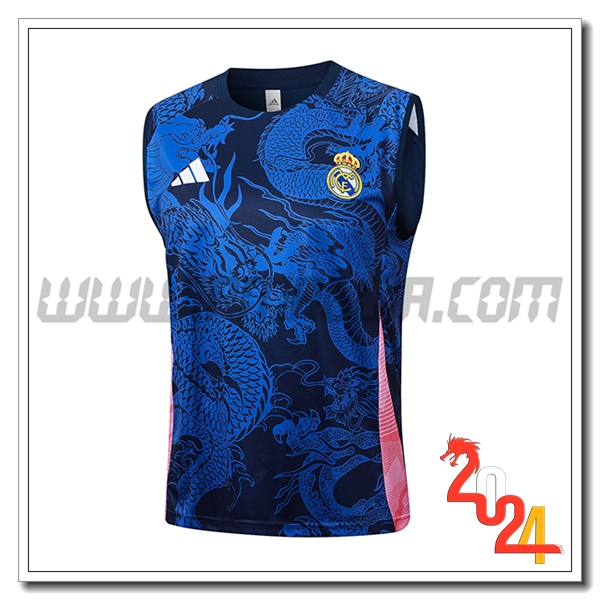 Canotta Allenamento Real Madrid Blu/Rosa 2024 2025