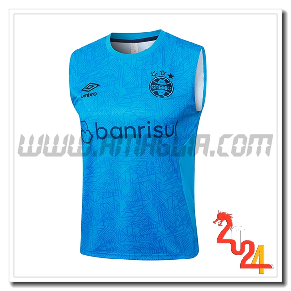 Canotta Allenamento Gremio Blu 2024 2025