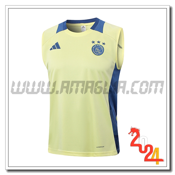 Canotta Allenamento Ajax Giallo/Blu 2024 2025