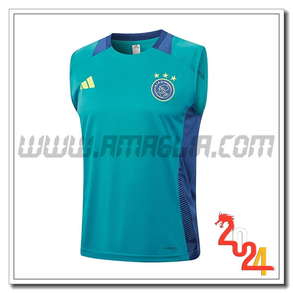 Canotta Allenamento Ajax Verde/Blu 2024 2025