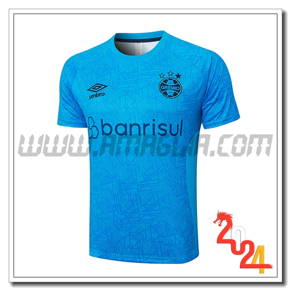T Shirt Allenamento Gremio Blu 2024 2025 -03