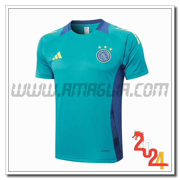 T Shirt Allenamento Ajax Verde/Blu 2024 2025