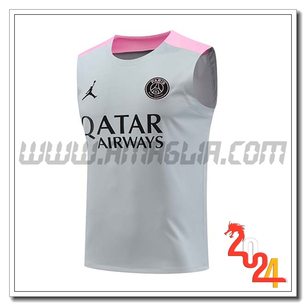 Canotta Allenamento PSG Grigio/Rosa 2024 2025