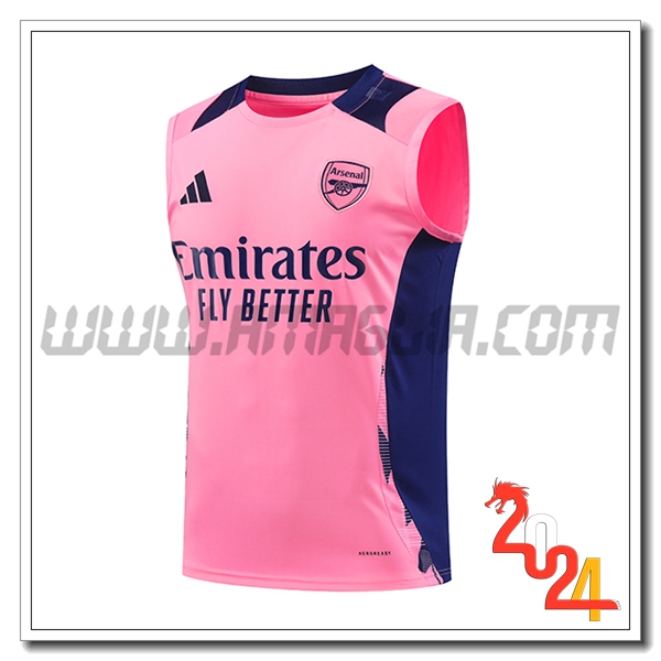 Canotta Allenamento Arsenal Rosa/viola 2024 2025