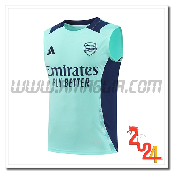 Canotta Allenamento Arsenal Verde/Blu 2024 2025