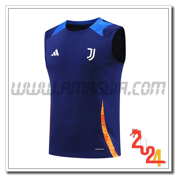 Canotta Allenamento Juventus Blu/Arancia 2024 2025