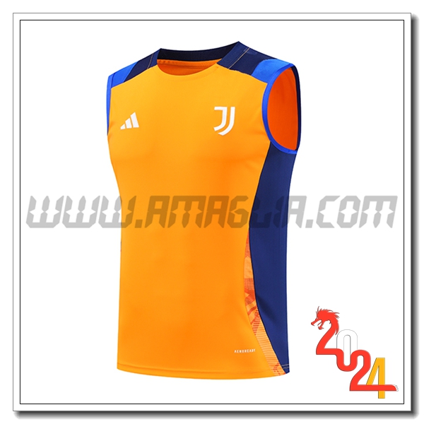 Canotta Allenamento Juventus Arancia/Blu 2024 2025