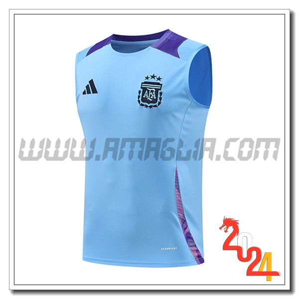 Canotta Allenamento Argentina Blu/viola 2024 2025
