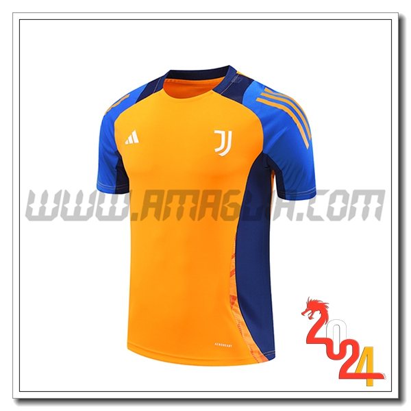 T Shirt Allenamento Juventus Arancia/Blu 2024 2025